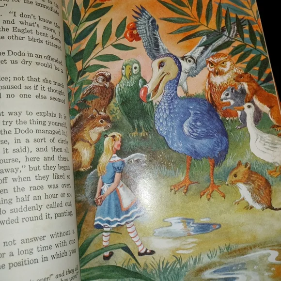 Alice In Wonderland Bag & Book Bundle - Picture 6 of 14